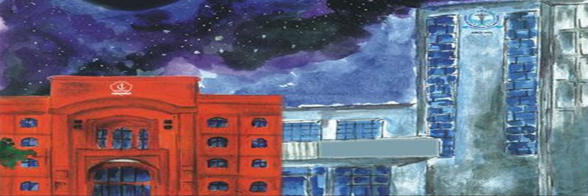 PGMI